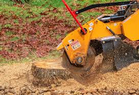 Best Lawn Renovation and Restoration  in Milton, NY