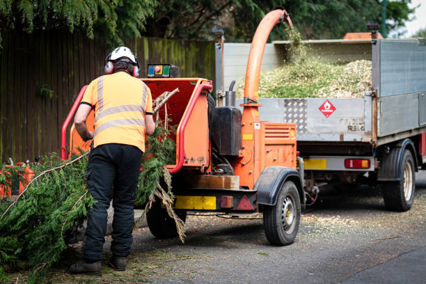 Best Tree and Shrub Care  in Milton, NY