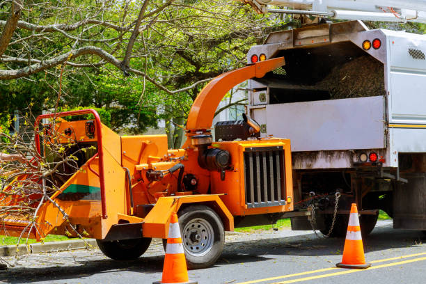 Leaf Removal in Milton, NY
