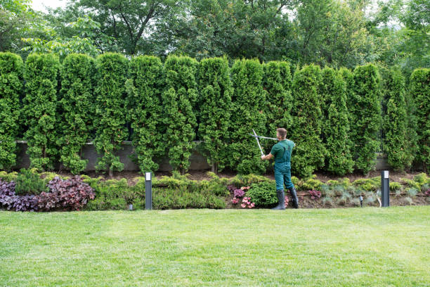 Best Grass Overseeding  in Milton, NY