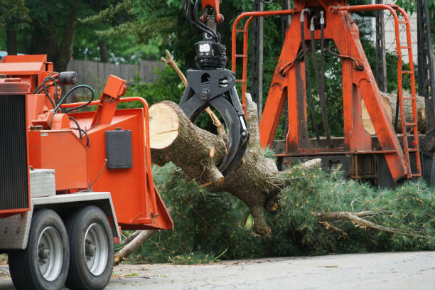 Best Organic Lawn Care Solutions  in Milton, NY
