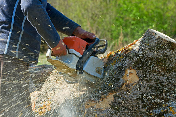 Best Lawn Pest Prevention  in Milton, NY