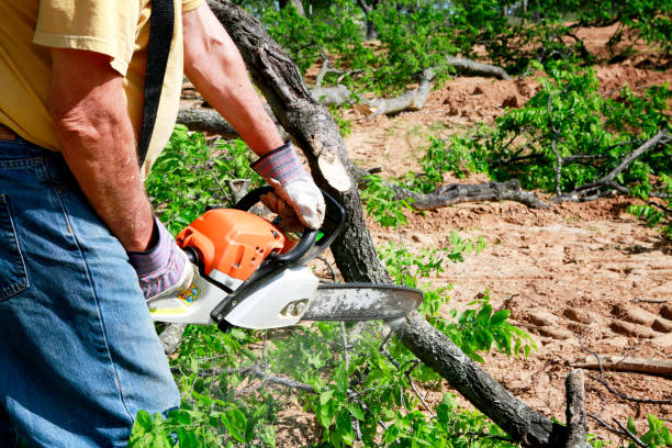 Best Aeration Services  in Milton, NY